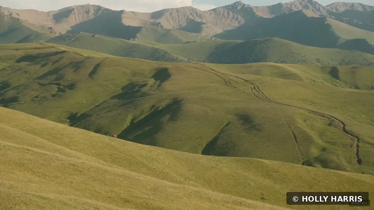 Rolling green hills beneath the Tian Shan Mountains of Kazakhstan