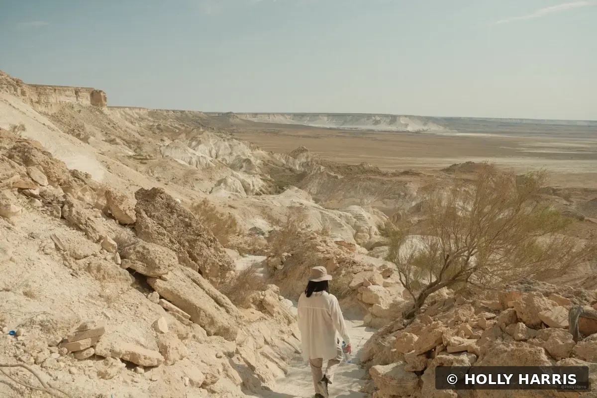 Layered desert formations in Mangystau, Kazakhstan